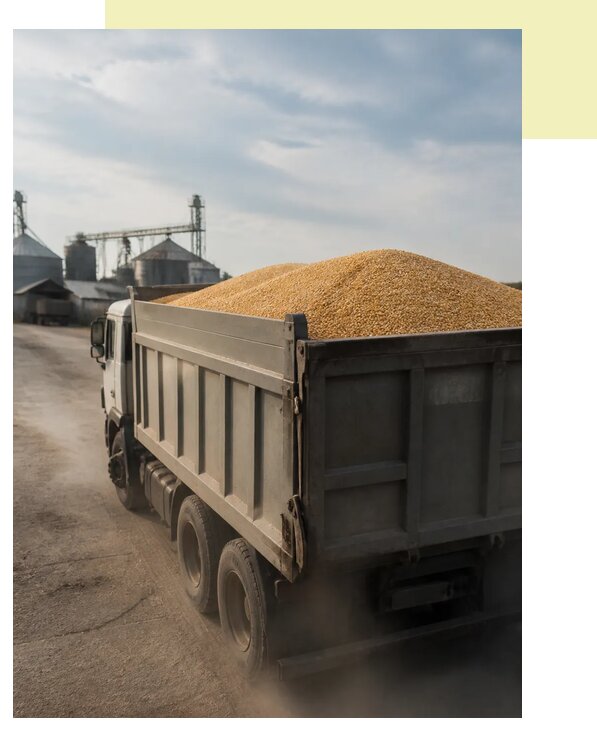 Перевозка сельхозпродукции навалом в Соль-Илецк по цене от 3125 р. | Агросервис-Сои